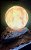 Luminária Pedra Lua Ref. 032 - Imagem 4