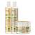 Kit Ylang Ylang 3 Itens - Apice Cosméticos | O Cuidado Completo para Cabelos Fortes e Longos - Imagem 1