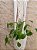 Suporte painel para plantas (Renata) - Imagem 6