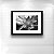Quadro Decorativo Floral Botânico Lírio II PB Sala Quarto - Imagem 2