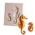 Molde de Silicone Mar Cavalo Marinho Bicuit Chocolate Resina - Imagem 1