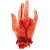 Mão Sangrenta Decepada Decoração Halloween - 21x12 cm - Imagem 1