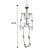 Esqueleto Articulado Halloween - 90cm - Imagem 2