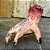 Mão Zumbi Que Anda - Com Movimento e Som - Imagem 1