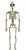 Esqueleto Halloween Articulado - 40cm - Imagem 1