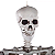 Esqueleto Articulado Tamanho Real 165cm Halloween - Imagem 2