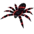 Aranha Grande Cartonado Brilha na Luz Negra Halloween 36cm - 2 Unidades - Imagem 1