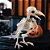 Esqueleto de Corvo Halloween – 21x14cm | Bico Articulado | Enfeite Decorativo - Imagem 1