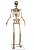 Esqueleto Gigante  Eletrônico com Som Luz e Movimento Halloween - 240cm - Imagem 2