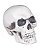 Crânio de Plástico Branco Halloween - 15cm - Imagem 1