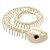 Esqueleto de Cobra Plástico Halloween Decorativo - Imagem 1