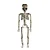 Esqueleto Dominic para Pendurar – 96cm - Imagem 1