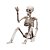 Esqueleto Articulado Halloween – 53cm - Imagem 1