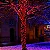 Cordão Luminoso 100 LEDs Vermelho – Uso Externo – À Prova d’Água – 10m – 127V - Imagem 2
