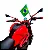 Bandeira do Brasil em Tecido com Suporte para Moto ou Bicicleta 28cm - Imagem 1