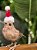 Pássaro com Gorro Noel 25cm – Enfeite Natalino Decorativo - Imagem 1