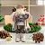 Papai Noel com Ski 55cm - Imagem 1