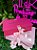 Caixa p/ Kit Lash Designer - Tam. G (26x20x7cm) - Imagem 1