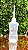 Bisnaga Almotolia decorado - 250ml - Imagem 1