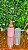 Pump espumador Rosa / Rose Gold- 30ml - Imagem 1