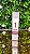 Soft Master Curl - Passo 1 - 15g - Imagem 1