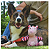 Brinquedo Pelúcia Para Pet Amiguinhos Estampados Piggie Mimo - Imagem 3
