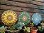 Trio Mandalas 20cm - Imagem 1