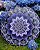 Conjunto 6 Mandalas 50cm, 30cm - Imagem 4