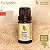 Óleo Essencial de Gengibre (10ml) - Imagem 1