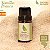 Óleo Essencial de Tomilho Branco (10ml) - Imagem 1