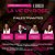 BRUNCH - LA VIE EN ROSE - BEBA ESSA CAUSA |  11º EDIÇÃO - 2025 - Imagem 3