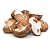 Cogumelo Shitake - Rei das Castanhas - Imagem 1