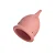 Coletor Menstrual Feminist - 25 ml - Imagem 3