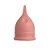 Coletor Menstrual Feminist - 25 ml - Imagem 4