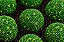 Brigadeiros Brasil - Cx 10un - Imagem 2