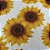 Capa para sousplat - Girassol - Imagem 3