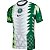Camisa Nike Nigéria Uniforme I 2020/21 - Imagem 1
