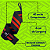 Par de Munhequeira Elastica - Protetor Punho Academia Musculação Cross - Imagem 4