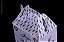 Caixa maletinha 5x3,3x4cm 100 unid - Imagem 5