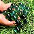 10 Bolões Bolinhas de Gude 28mm Verde de Vidro - Imagem 3