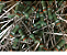 KIT 25 UNIDADES RESISTOR 2W - 0,10R A 1K - Imagem 3