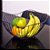FRUTEIRA ORGÂNICA - Imagem 2