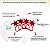 Kit 4 Porta Guardanapos de Estrela de Natal em Acrílico Espelhado - Imagem 3