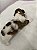 FILHOTE MACHO DE SHIH-TZU PREMIUM - Imagem 3