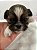 FILHOTE MACHO DE SHIH-TZU PREMIUM - Imagem 1