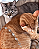 Pulseira de Prata 950 - Gatos - Imagem 2