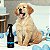 COLONIA PUPPY 300ML CHOYER - Imagem 5