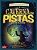 A caverna das pistas : Aventuras matemáticas - Imagem 1