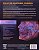Netter. Atlas de Anatomia Humana USADO - Imagem 2