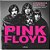 Pink Floyd. A Biografia Ilustrada - Imagem 1